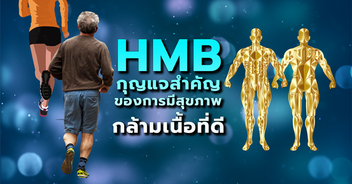 เอช เอ็ม บี (HMB) สารอาหารสำคัญเพื่อรักษามวลกล้ามเนื้อ