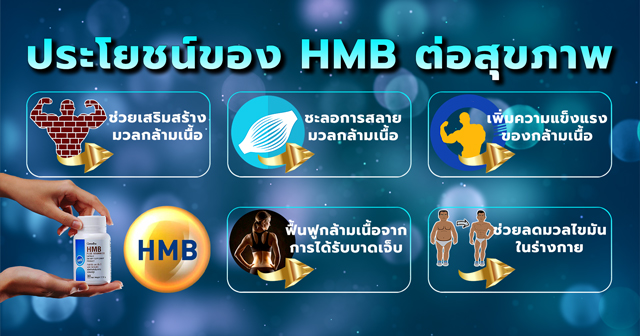 HMB (เอช เอ็ม บี) ประโยชน์ต่อสุขภาพ